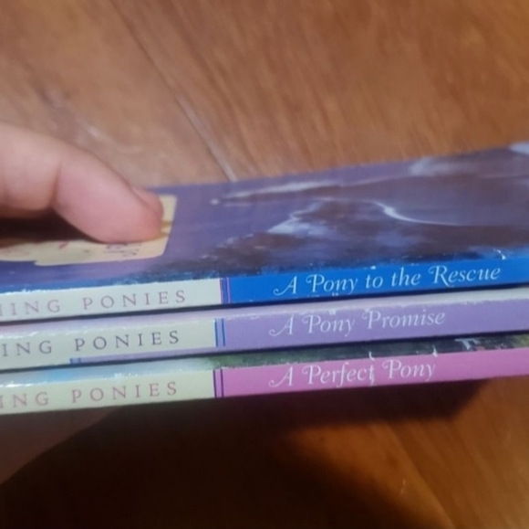 3/$15 Charming ponies 3 book set - summer reading a perfect pony, a pony promise - Picture 7 of 8